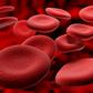 You need to keep your blood clean [Britannica]