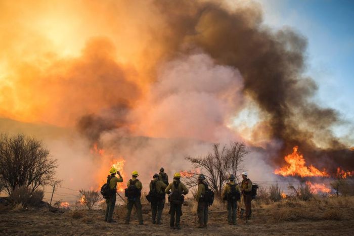 Maria Assumpta Catholic Cathedral in Imo razed by fire