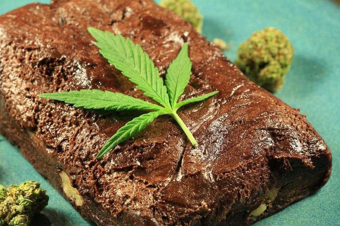Weed brownies can have an intense effect [Greencamp]