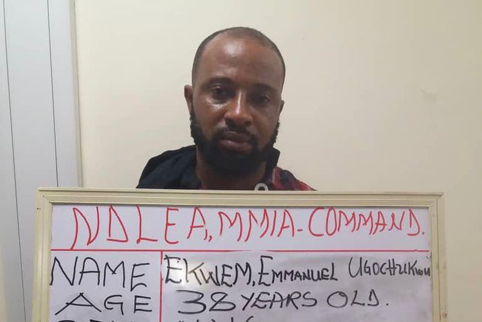 General Overseer of Christ Living Hope Church, Rev. Ugochukwu Emmanuel Ekwem. [Twitter:NDLEA]