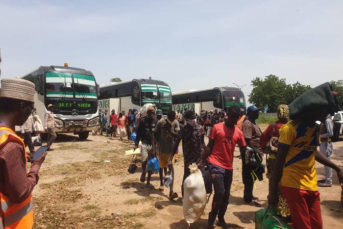 NEMA receives 180 stranded Nigerians from Niger Republic.