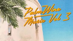 SDC - Palmwine Music 3