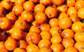 Real names of popular Nigerian fruits- African Star Apple