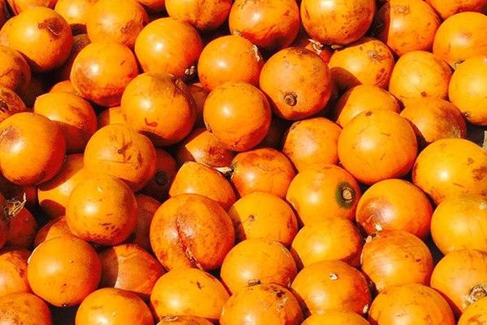 Real names of popular Nigerian fruits- African Star Apple