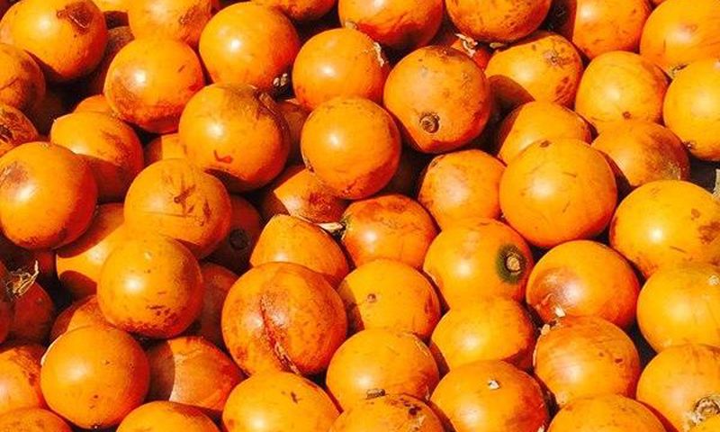 Real names of popular Nigerian fruits- African Star Apple