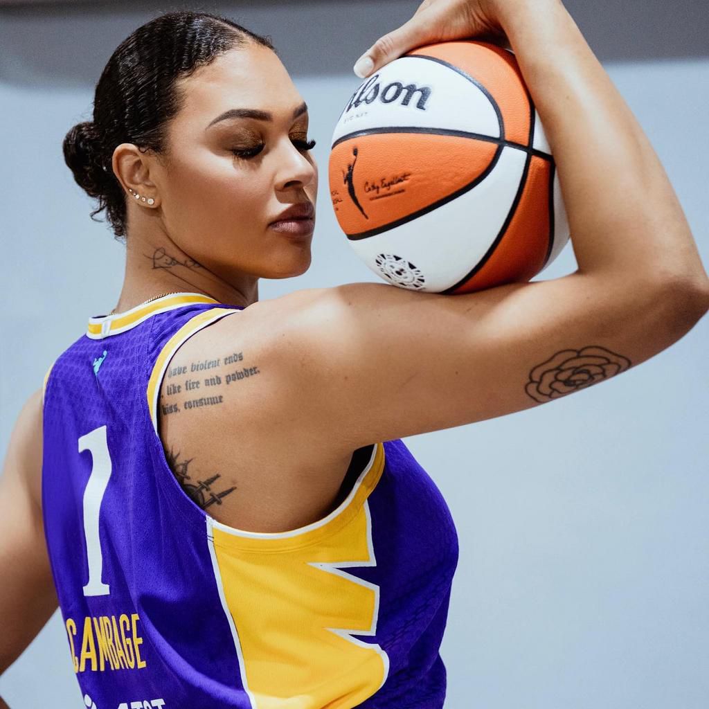 Liz Cambage tells D'Tigress to go back to 3rd World country