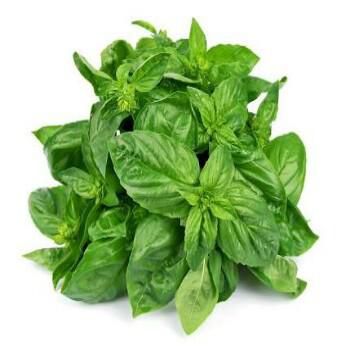 Basil leaf is called scent leaf [organichaive]