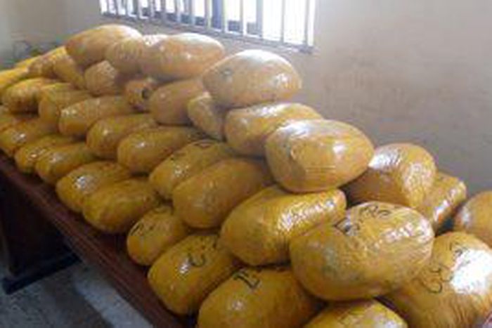 NDLEA seizes 511.3kg of Indian hemp, 1kg of cocaine in Kaduna