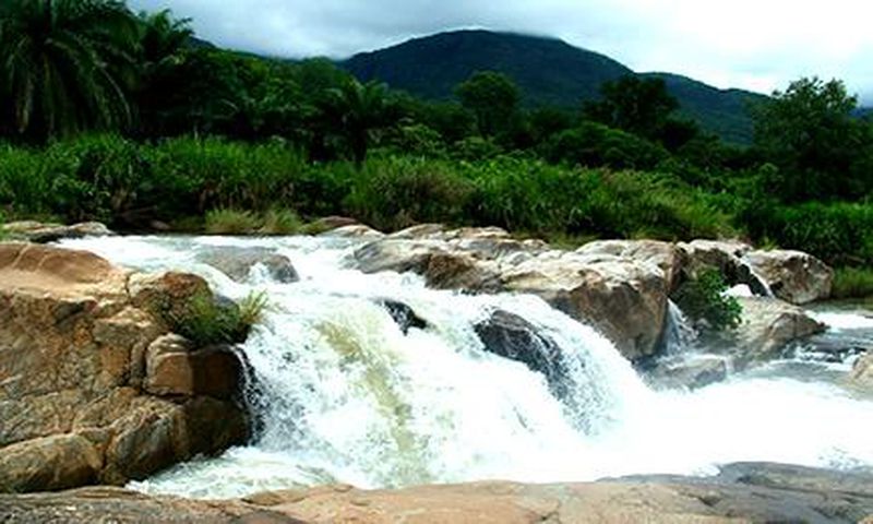 Gashaka-Gumti National Park