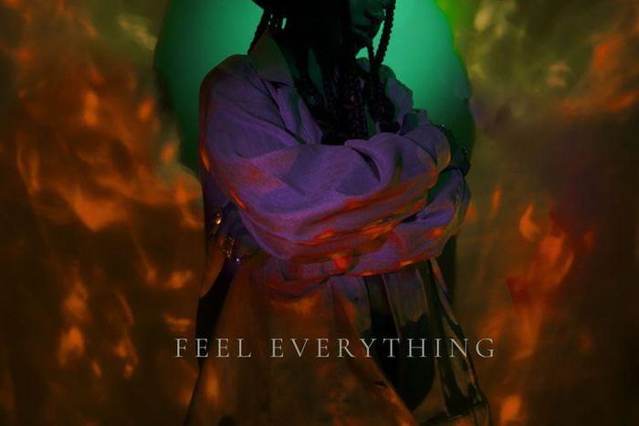 Layzee Ella -Feel Everything