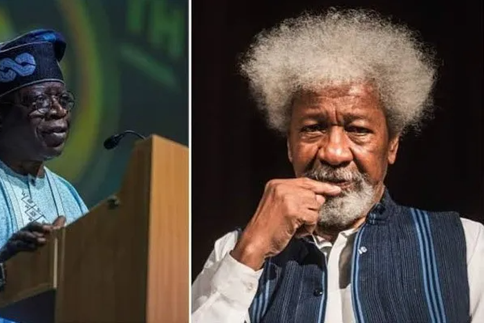 APC Presidential aspirant, Asiwaju Bola Tinubu and Noble Laureate, Wole Soyinka. [withinnigeria]