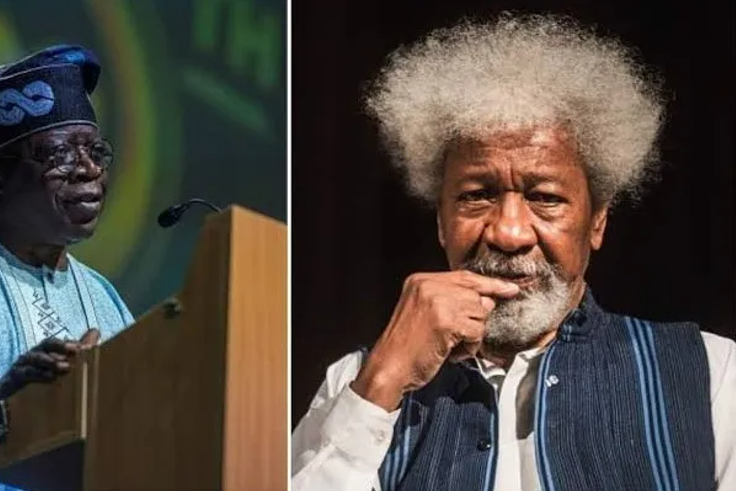 APC Presidential aspirant, Asiwaju Bola Tinubu and Noble Laureate, Wole Soyinka. [withinnigeria]