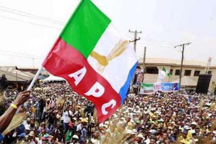 APC flag (Thisday)