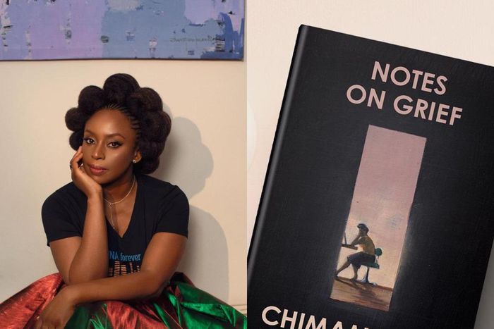 Chimamanda Ngozi Adichie [Instagram/@chimamanda_adichie]