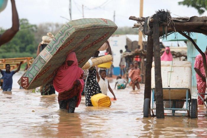Flood destroys 2,026 houses, 95 farms in Kano (Daily Nigerian)