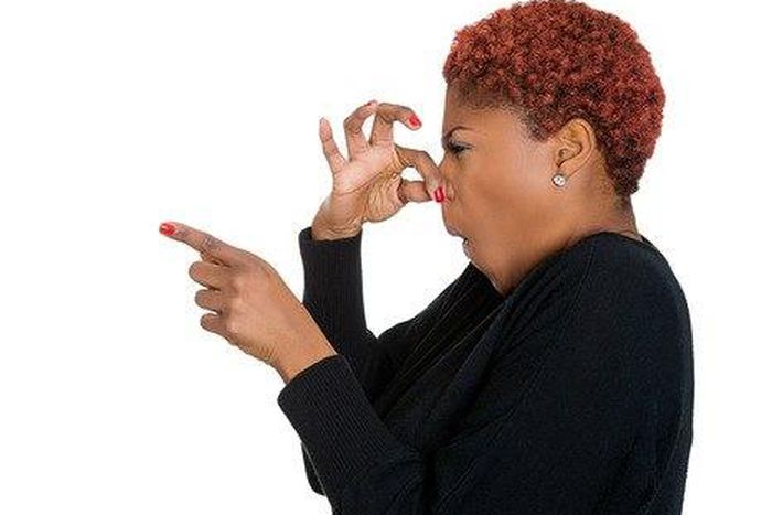 Onions, garlic as well as coffee and alcohol amongst other factors can also cause bad breath