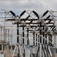 ___8727409___2018___8___15___10___Electricity-Distribution-Company-PHCN