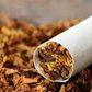 Tobacco