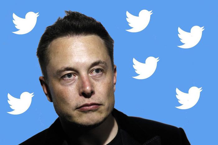 Elon Musk has revived his $44 billion deal to buy Twitter, according to an SEC filing.