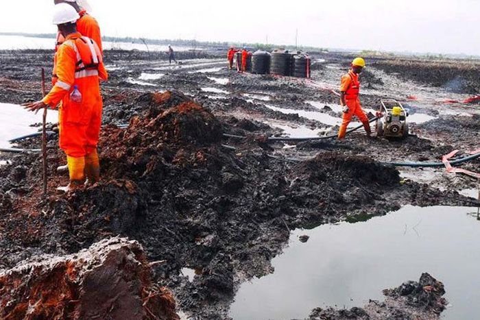 Paramount ruler urges FG to mobilise contractors to Ogoni clean-up sites [Guardian]