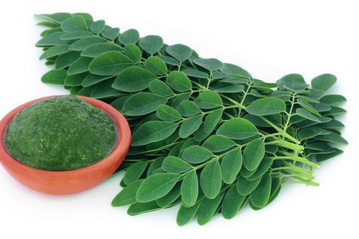 Moringa : 5 health benefits of drinking juice from this tree every day  [indiamart]