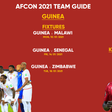 Guinea Team guide, key players and full fixtures