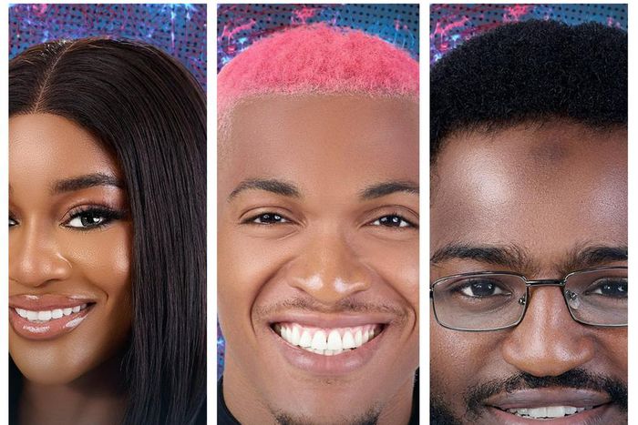 Here are the housemates who will be keeping you all glued to your TV screens in the next 10 weeks.