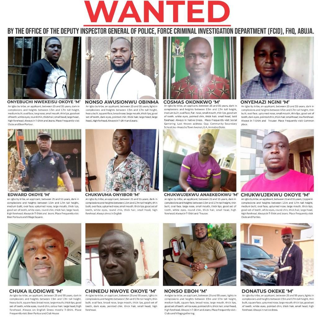 Police declare 12 suspects wanted for killings in Anambra; Full List