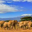 Tanzania is a tourist's haven {usstategov}