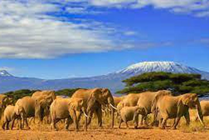 Tanzania is a tourist's haven {usstategov}