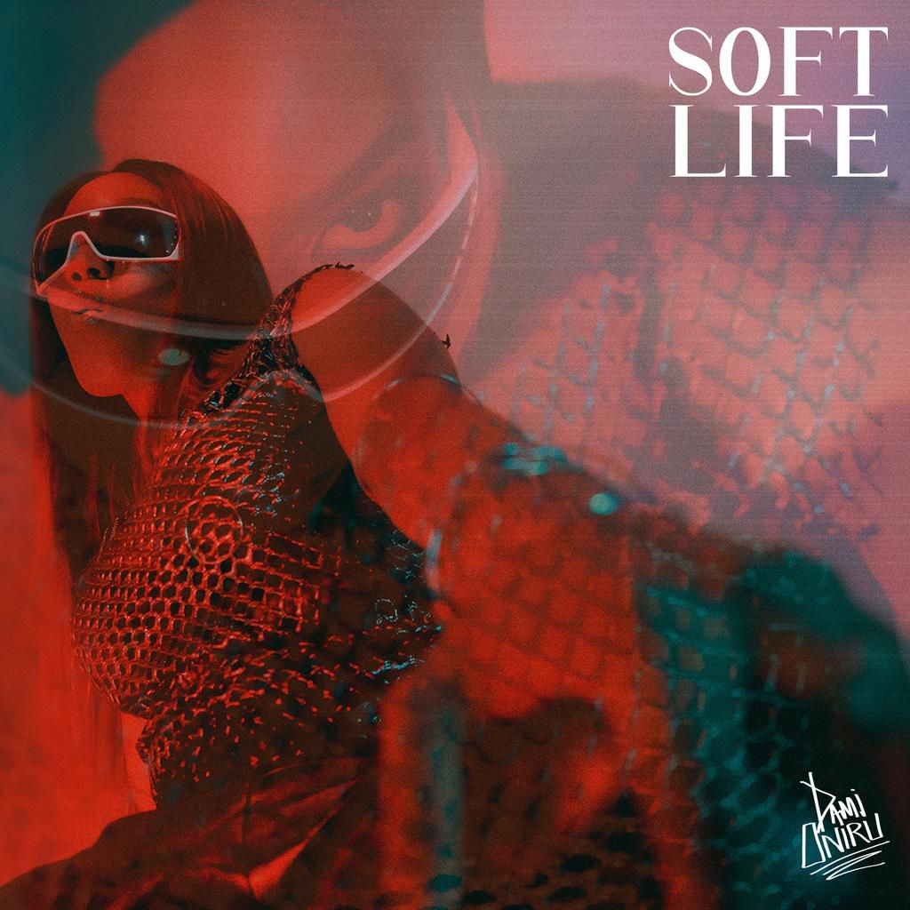Dami Oniru - 'Soft Life'