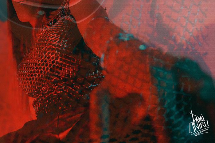 Dami Oniru - 'Soft Life'