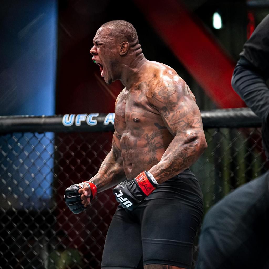 Kamaru Usman's younger brother Mohammed crowned UFC TUF Champion