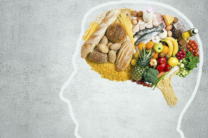 Foods for Brain Improvement