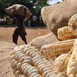 Uganda to ban maize supply to the East African Community