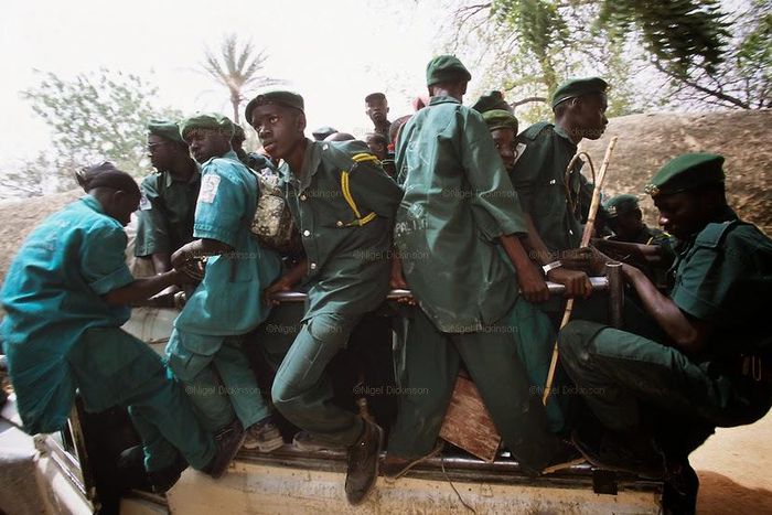 Kano Hisbah Board destroys 30 trailer loads of beer