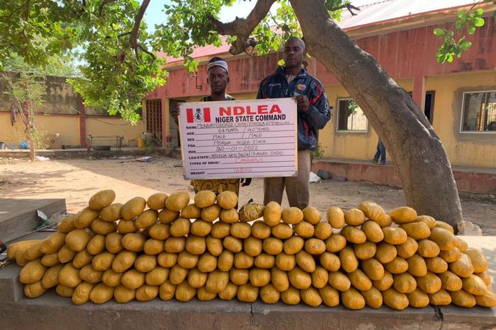 NDLEA arrests dismissed DPO, others for trafficking drugs in 6 states. [Twitter:NDLEA]