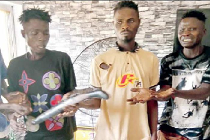 3 siblings land in police net