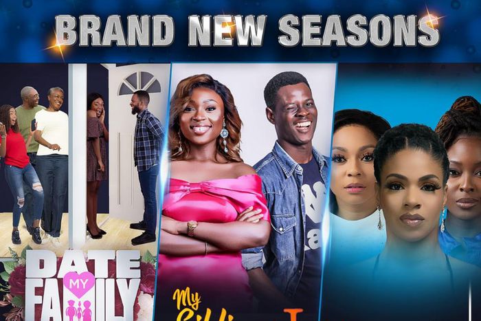 Coming to Africa Magic in January 2022! New seasons of 'Date my Family Nigeria,' 'Unmarried,' 'My Siblings and I'