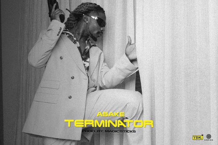 Asake - Terminator