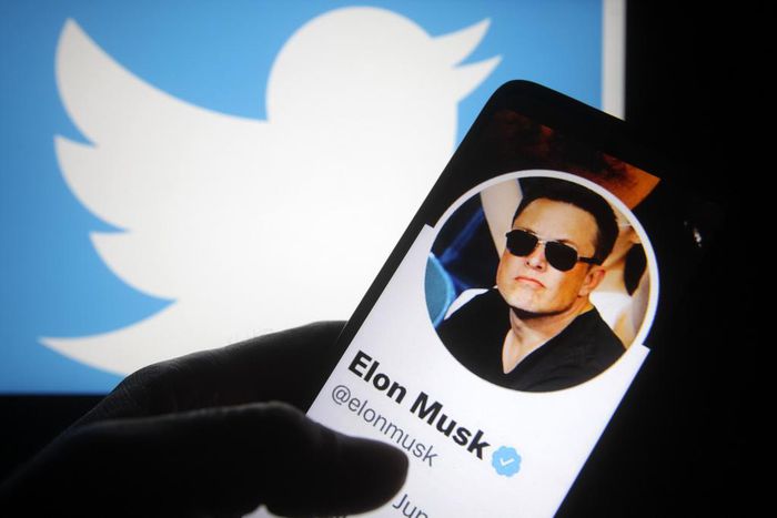 Elon Musk himself acknowledged that his most-liked tweet only received 4.8 million tweets, dwarfed by the number of followers he has and the total number of active Twitter users.