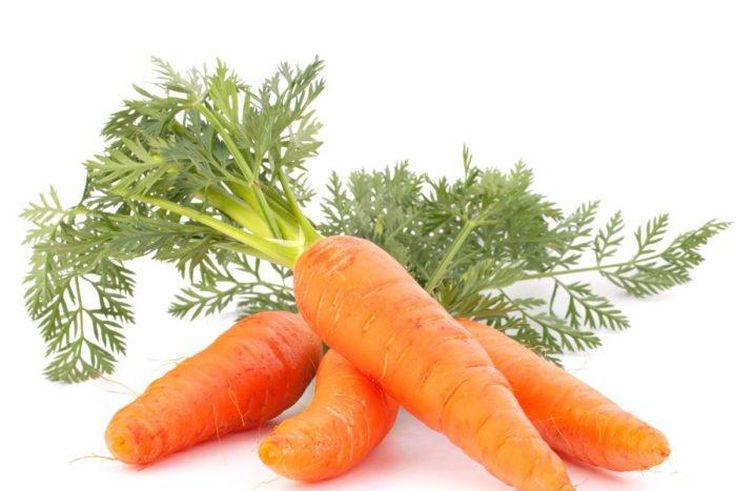 Carrots are great for sperm production