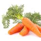 Carrots are great for sperm production