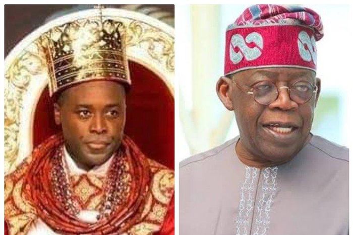 Olu of Warri denies endorsing Tinubu's presidential ambition.