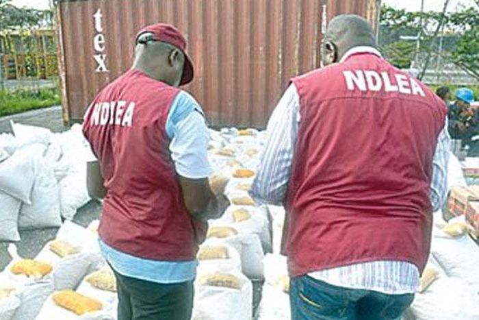 NDLEA (FreedomRadioNG)