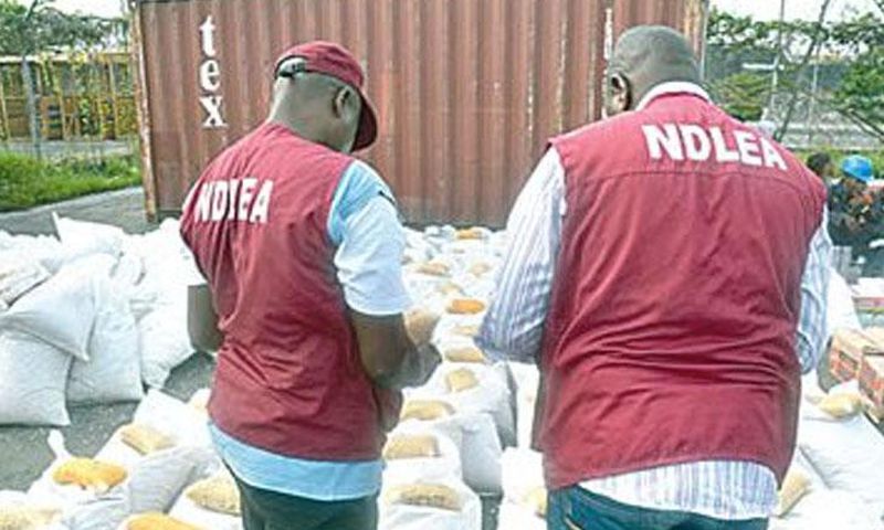 NDLEA (FreedomRadioNG)