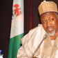 Jigawa State Governor, Muhammad Badaru (Daily Trust)