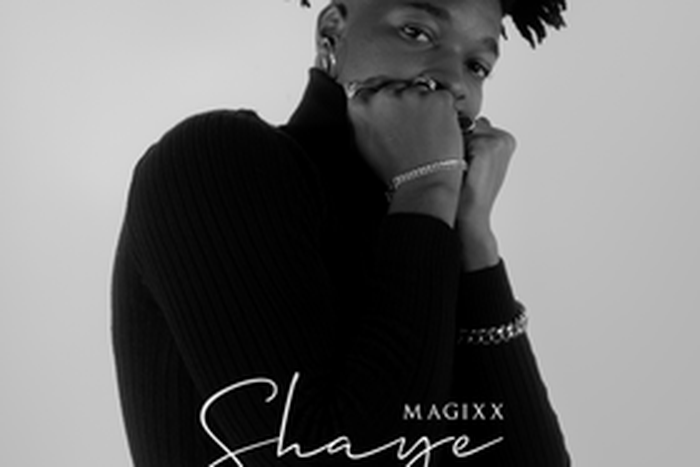 Magixx - Shaye Song Art