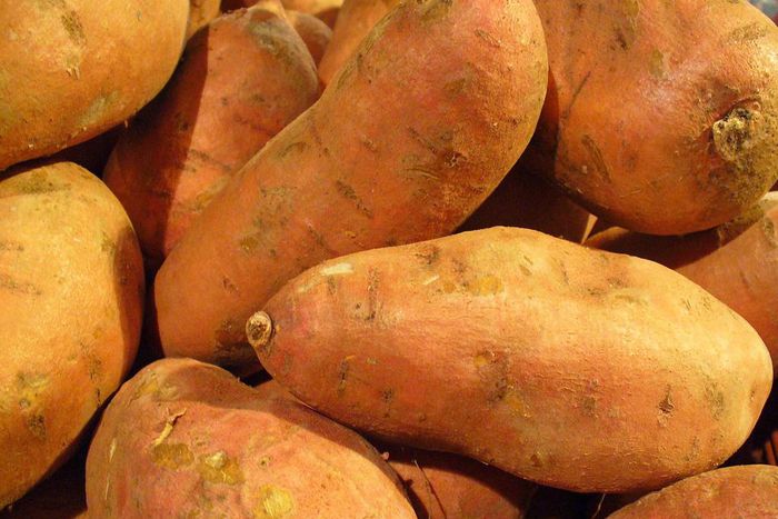 The health benefits of Sweet Potato will blow your mind. []