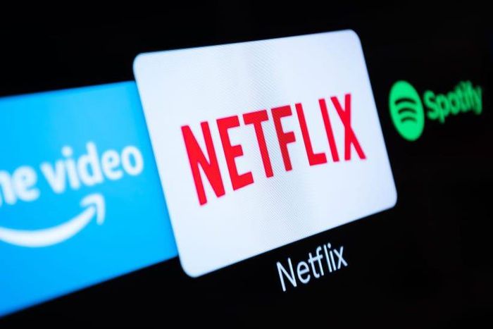 Prime Video, Netflix, and Spotify are three popular subscription services.